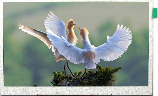 醫(yī)療TFT液晶屏設(shè)備具有不可忽視的技術(shù)優(yōu)勢(shì)